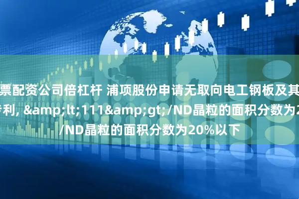 股票配资公司倍杠杆 浦项股份申请无取向电工钢板及其制造方法专利, <111>/ND晶粒的面积分数为20%以下