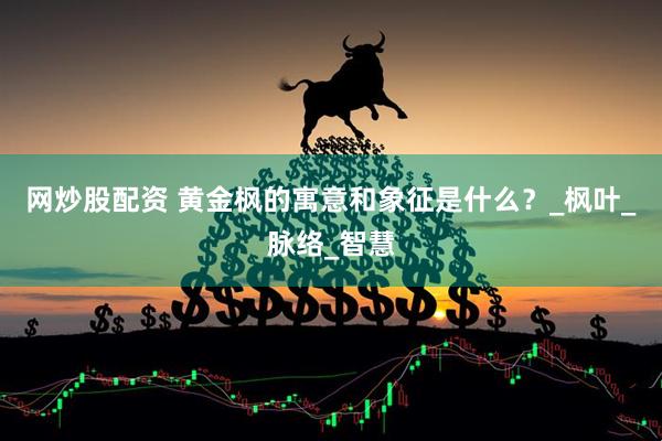 网炒股配资 黄金枫的寓意和象征是什么？_枫叶_脉络_智慧