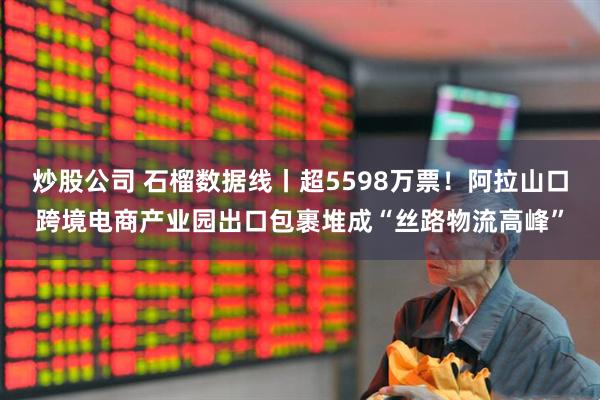 炒股公司 石榴数据线丨超5598万票！阿拉山口跨境电商产业园出口包裹堆成“丝路物流高峰”
