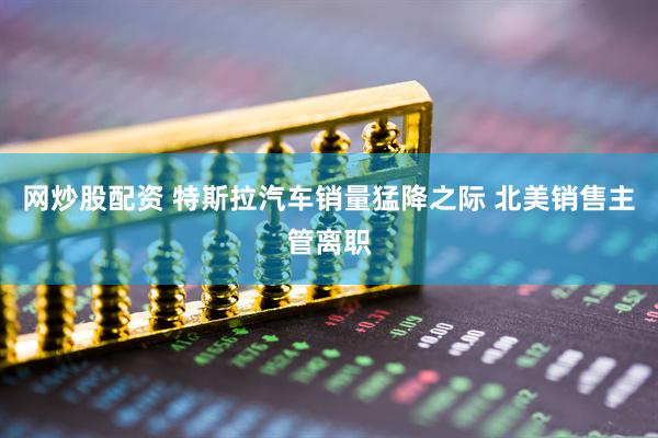 网炒股配资 特斯拉汽车销量猛降之际 北美销售主管离职