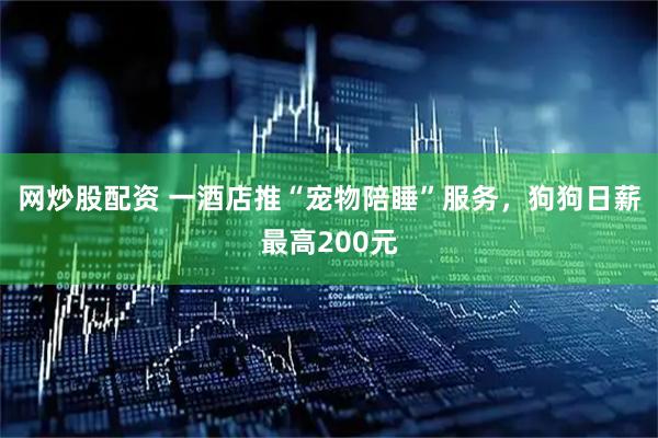 网炒股配资 一酒店推“宠物陪睡”服务，狗狗日薪最高200元