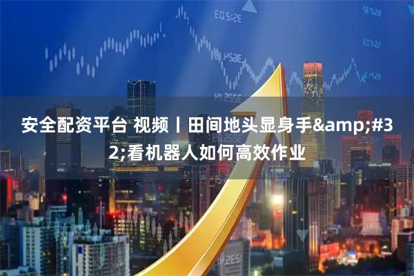 安全配资平台 视频丨田间地头显身手 看机器人如何高效作业